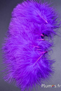 Tacchino marabù – 8-12 cm – viola